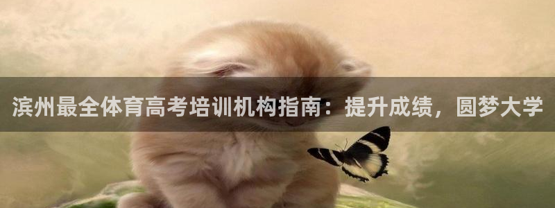 极悦平台用户评价：滨州最全体育高考培训机构指南：提升