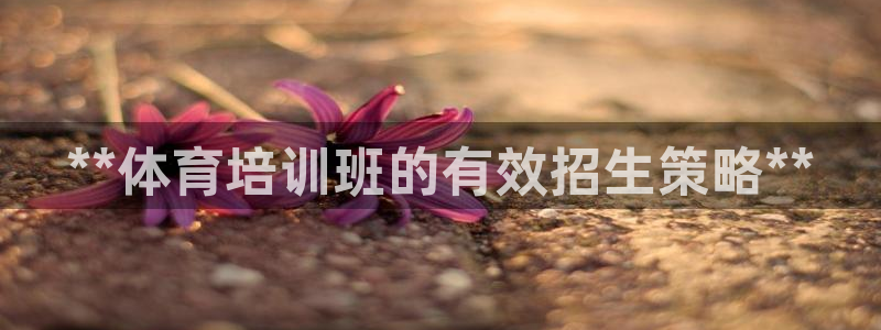极悦平台官网入口下载：**体育培训班的有效招生策略*