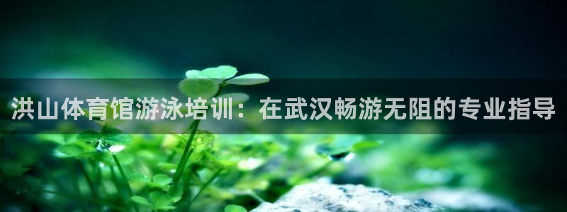 极悦平台登录7.0.2.4手机版下载：洪山体育馆游泳