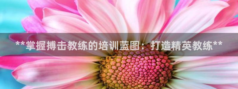 极悦平台登录最新版本更新内容：**掌握搏击教练的培训