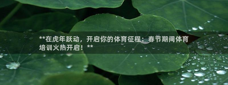 极悦平台官网登录入口手机版：**在虎年跃动，开启你的