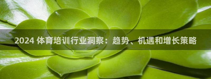 极悦平台安全吗是真的吗：2024 体育培训行业洞察：