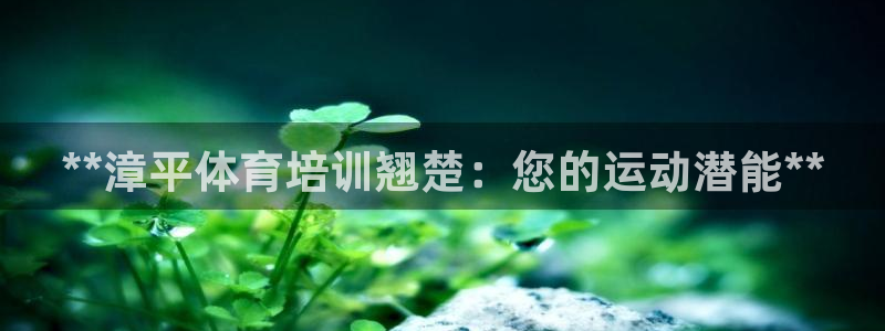 极悦平台官网入口登录：**漳平体育培训翘楚：您的运动