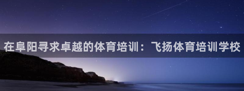 极悦平台官方网站：在阜阳寻求卓越的体育培训：飞扬体育