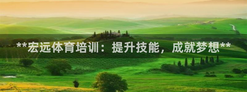 极悦平台是干嘛的啊：**宏远体育培训：提升技能，成就