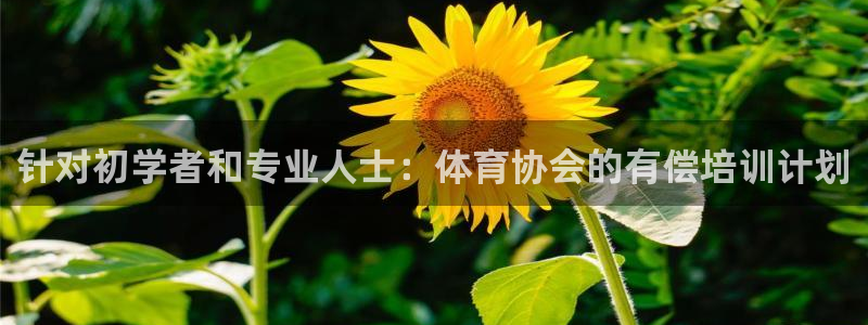 极悦平台登录不进去怎么回事呀：针对初学者和专业人士：