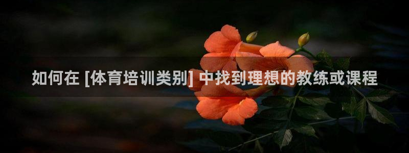 极悦娱乐的创始人背景故事是什么：如何在 [体育培训类
