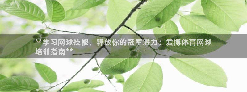 极悦娱乐最新版本更新内容分享：**学习网球技能，释放你的冠军