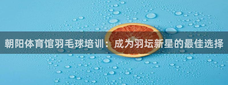 极悦平台官方网址查询：朝阳体育馆羽毛球培训：成为羽坛