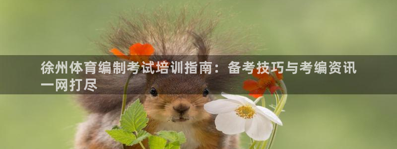 极悦平台安全吗可信吗：徐州体育编制考试培训指南：备考