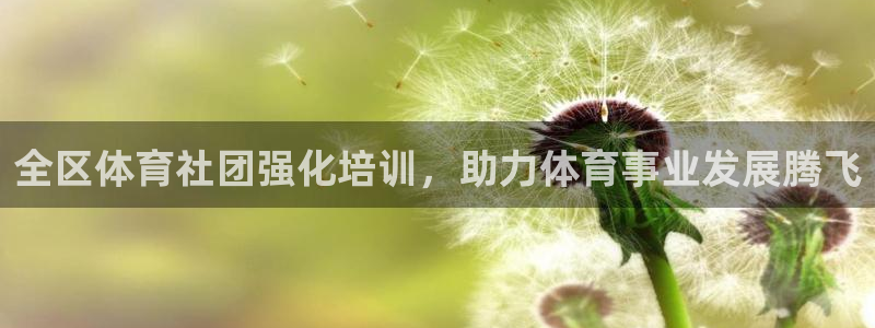 极悦平台注册和登录页面一样吗：全区体育社团强化培训，