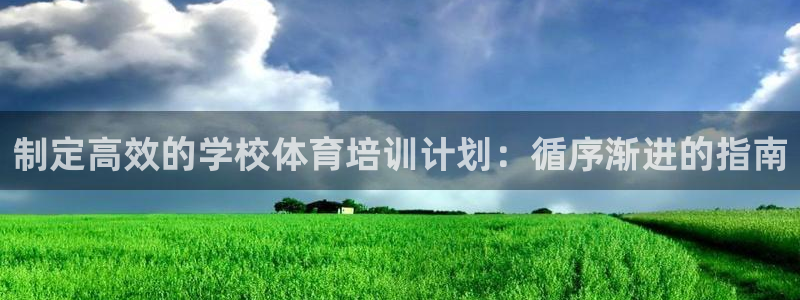 极悦平台官方网站首页入口：制定高效的学校体育培训计划