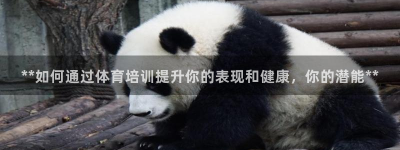 极悦娱乐登录拒绝访问怎么办理：**如何通过体育培训提
