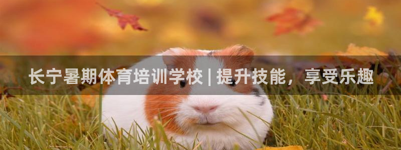 极悦平台官网入口下载：长宁暑期体育培训学校 | 提升