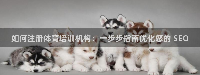 极悦娱乐百科百度：如何注册体育培训机构：一步步指南优