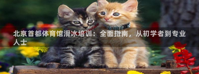 石家庄极悦空间设计有限公司：北京首都体育馆滑冰培训：