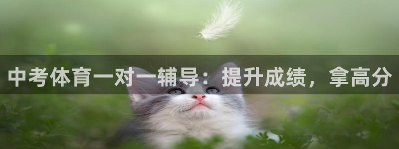 极悦平台登录入口注册不了：中考体育一对一辅导：提升成