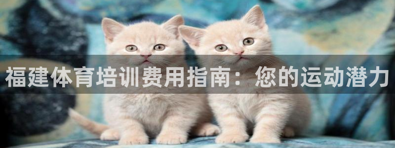 极悦平台股东有哪些：福建体育培训费用指南：您的运动潜