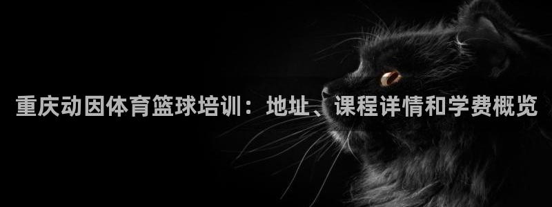 极悦平台使用教程图解：重庆动因体育篮球培训：地址、课程详情和