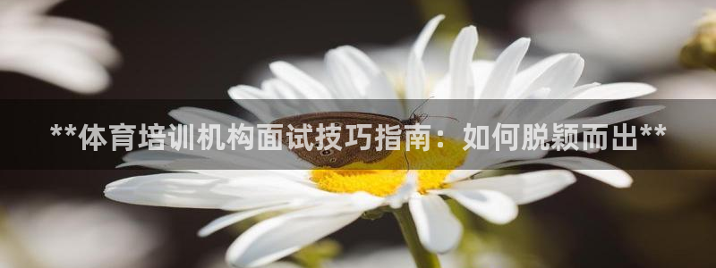 石家庄极悦空间设计有限公司：**体育培训机构面试技巧指南：如