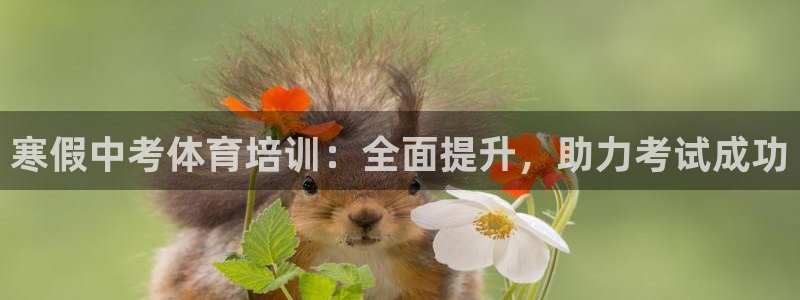 极悦娱乐app官方版本更新内容下载：寒假中考体育培训：全面提