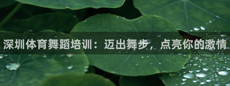 极悦娱乐登录拒绝访问怎么办理：深圳体育舞蹈培训：迈出舞步，点